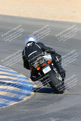 media/Jan-08-2022-SoCal Trackdays (Sat) [[1ec2777125]]/Turn 10 Backside (930am)/